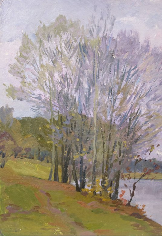 "Trees over the river"