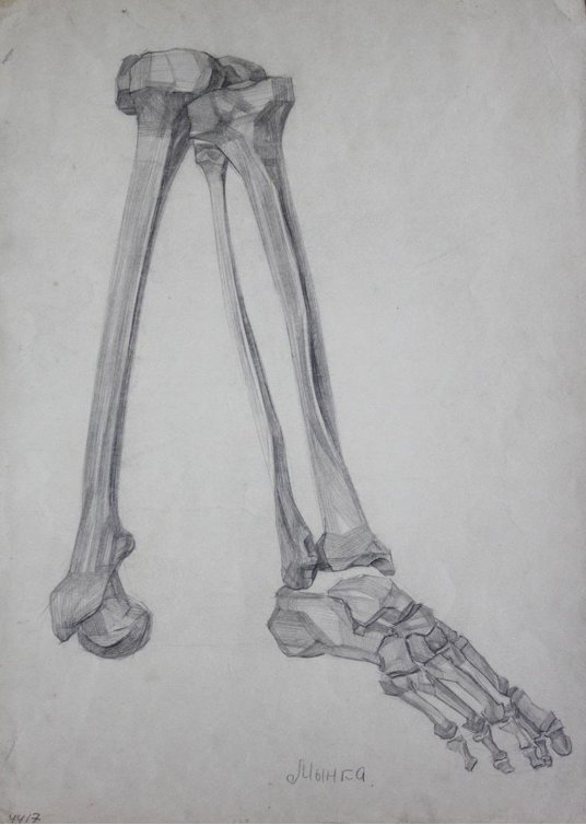 "Кістки нижньої кінцівки"